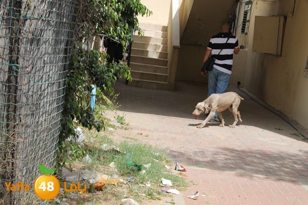 ludpolicedogs411 (13).jpg